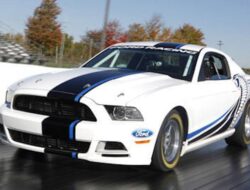 People Rapidly Attract Monsters; Do you know Why?