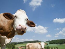 Scientists Find The Secret; The Unknown Secret